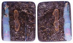 Boulder Opal Pair
~ ID#00520